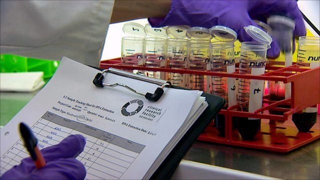 Blood samples in a laboratory
