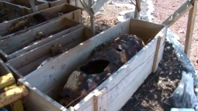 WWII bombs found in the Galapagos Islands