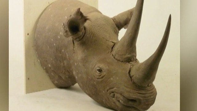 Rhino with horns