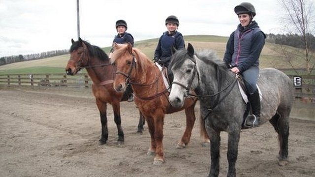 Ponies at Dryden Centre