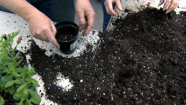 Gardeners potting plants