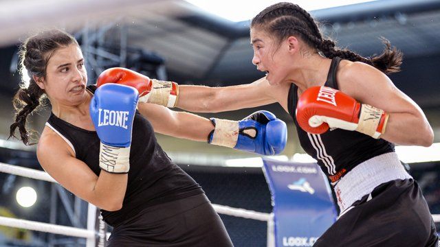 Female boxers