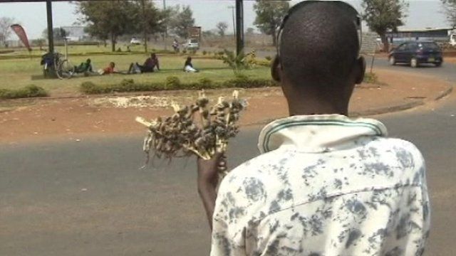 Young men in Malawi sell cooked mice to make money