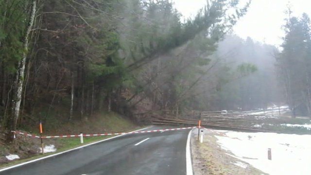 Trees fall amid Austria landslide