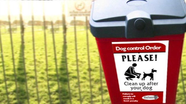 Dog mess bin