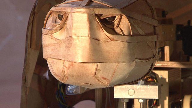 Tortoise robot