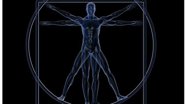 Vitruvian man