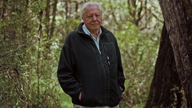 Sir David Attenborough