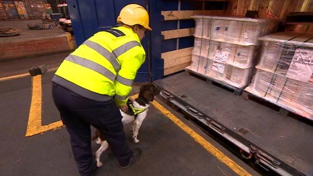 Dog and handler