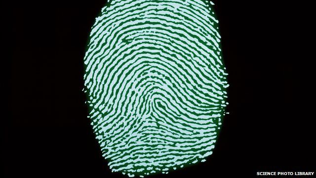 Fingerprint