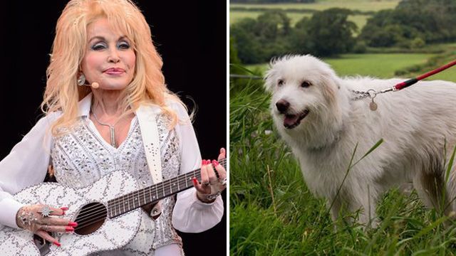 Dolly Parton and Dolly the dog