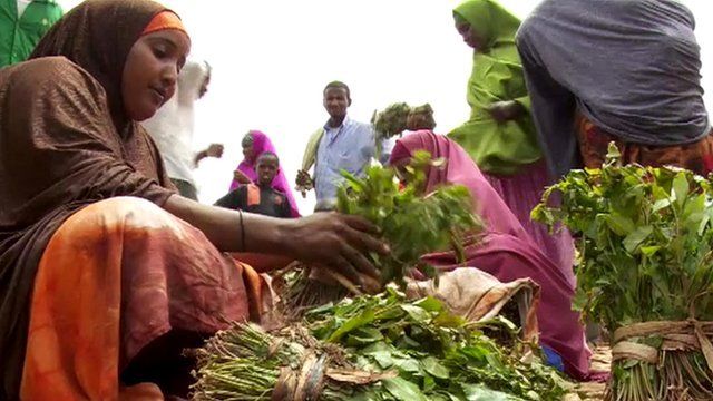 Somali woman selling Khat
