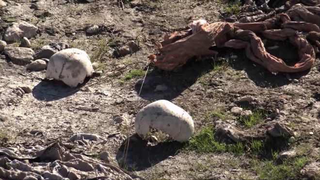 In this image made from video taken on 22 November 2015, skulls remain at the site of a purported mass grave in the city of Sinjar, northern Iraq after it was retaken from Islamic State militants