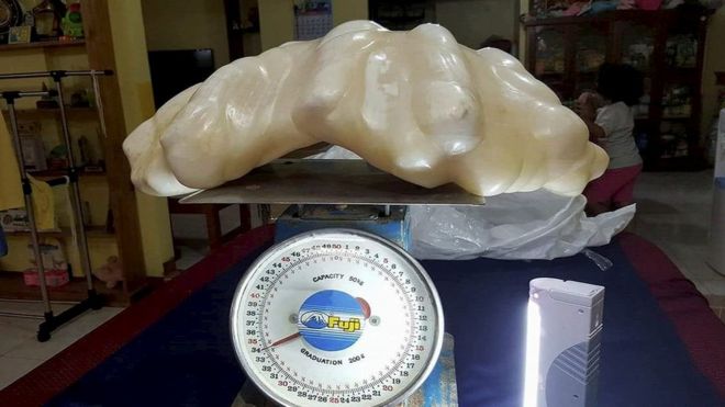 The giant pearl is said to weigh 34kg (74lb)