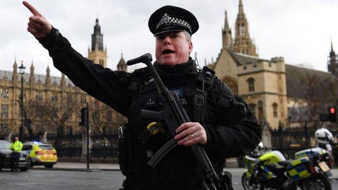 Armed policeman at Westminster