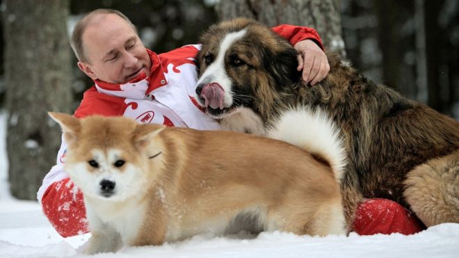 Vladimir Putin na mbwa wake 2013