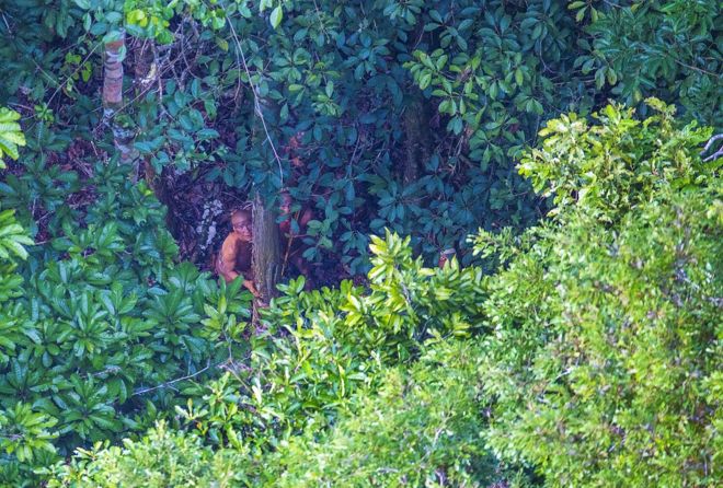 Índios observam aeronave escondidos atrás de árvore