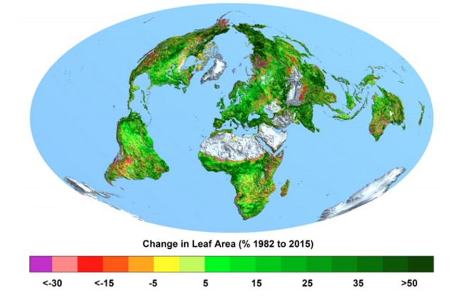 The greening of Planet Earth