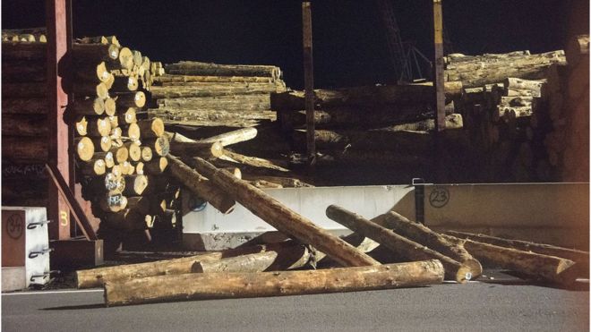 நியுசிலாந்து நிலநடுக்கம்