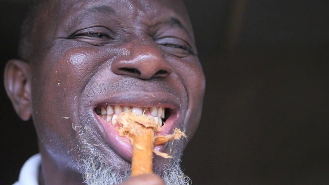 Nigeria: voici pourquoi les Nigérians se brossent les dents avec une racine d'arbre et de l'eau.