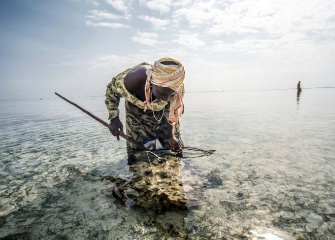 Mama Juma pescando