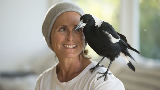 பென்குயின் சேமின் தோள்பட்டயில் அமர்ந்திருப்பதை விரும்பியது.