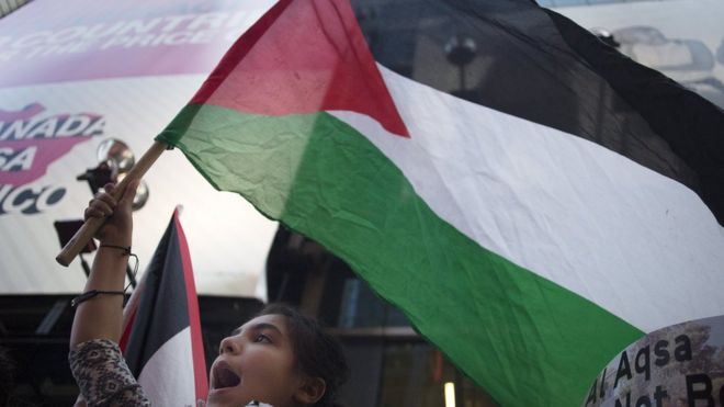 Twelve-year-old Maysam Ijbara waves a Palestinian flag during a "Free Palestine" protest in Times Square in the Manhattan borough, New York, September 18, 2015.