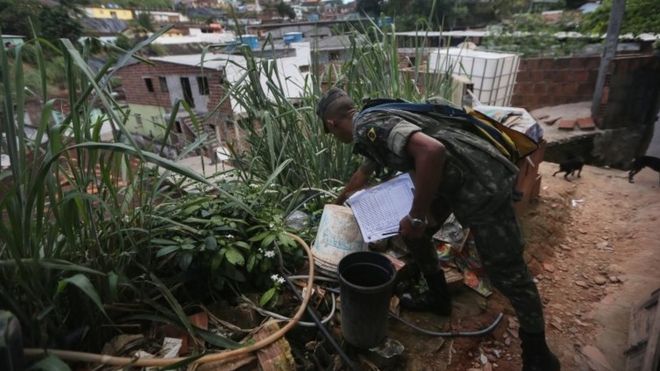 A Brazilian Army soldier inspects buckets at a home on 25 January, 2016 in Recife, Brazil.