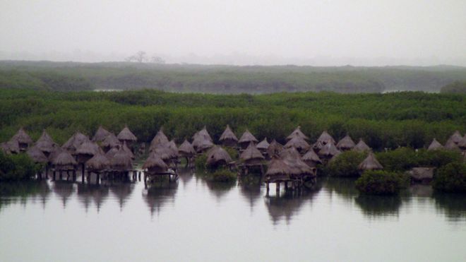 _86389761_mangrove-panoramic-1