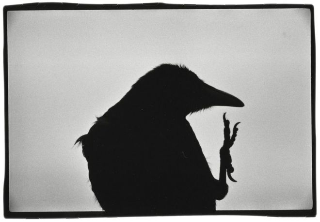 Erimo Cape, 1976 © Masahisa Fukase Archives