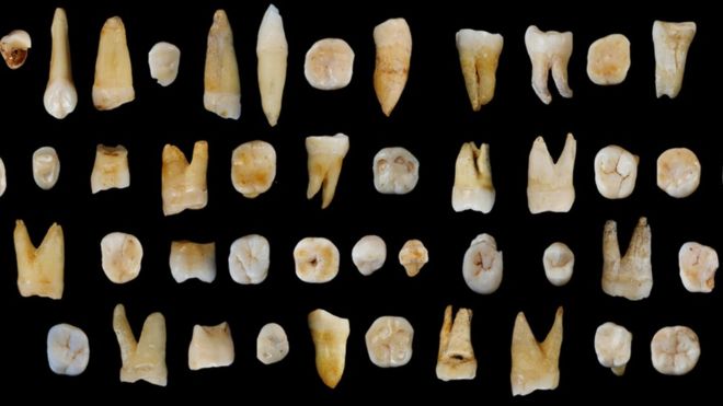 an array of human teeth from the cave siteImage copyrightS Xing, X-J Wu