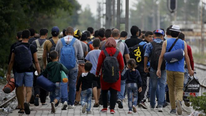 Syrian refugees walk towards Greece"s border with Macedonia, near the Greek village of Idomeni - 11 September 2015