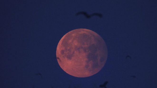Luna llena y rosada vista desde Lahore, Pakistán