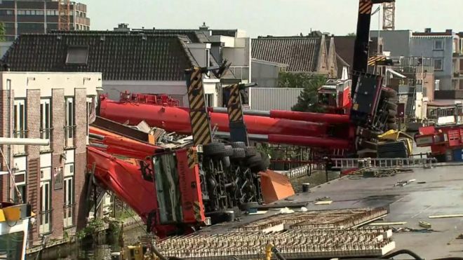 _84649923_cranes.jpg