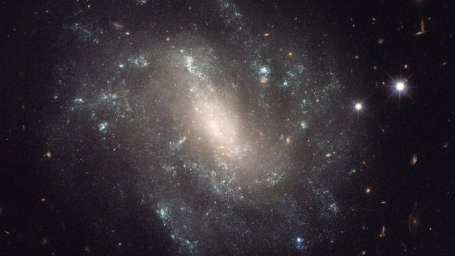 A Hubble Space Telescope image of the galaxy UGC 9391, one of the galaxies in the new survey