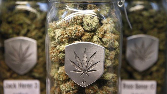 Cannabis strains on sale at a marijuana dispensary in Colorado
