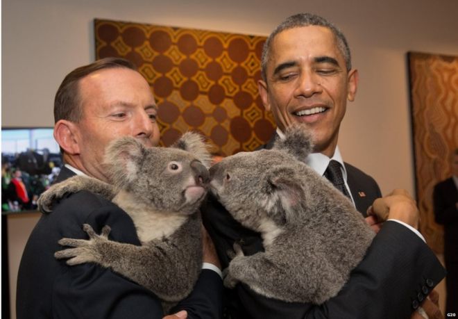 G20 leaders meet a koala. Australia's Prime Minister Tony Abbott and United States' President Barack Obama meet Australian koalas before the start of the first G20 Leaders' Summit session on 15 November 2014.