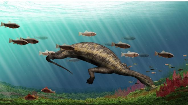 Fossils shed light on bizarre reptile