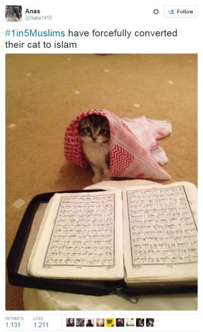 #1in5Muslims post about how a pet cat was forcibly converted to Islam