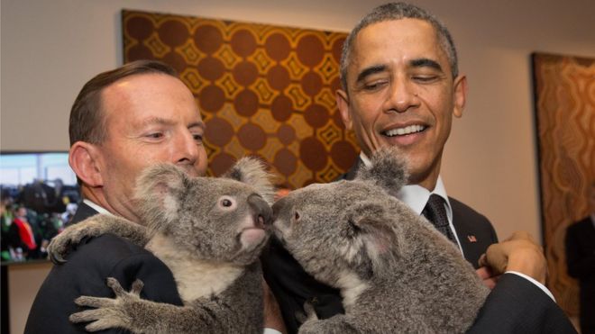 President Obama holding a koala.