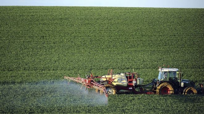 A farmer sprays a chemical fertilizer on his wheat field in France