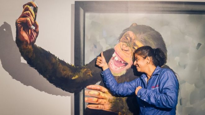El chimpancé tomándose un selfie