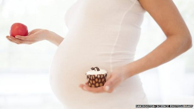 diet choice in pregnancy