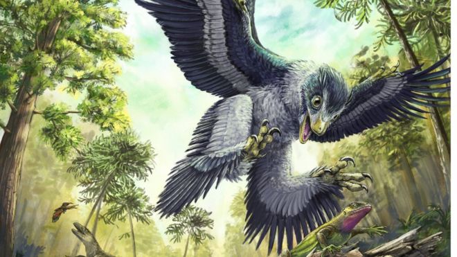 Some groups of beaked birds may have been able to survive the extinction