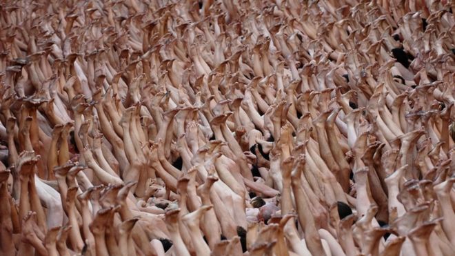 A nude photograph/ installation in Lyon