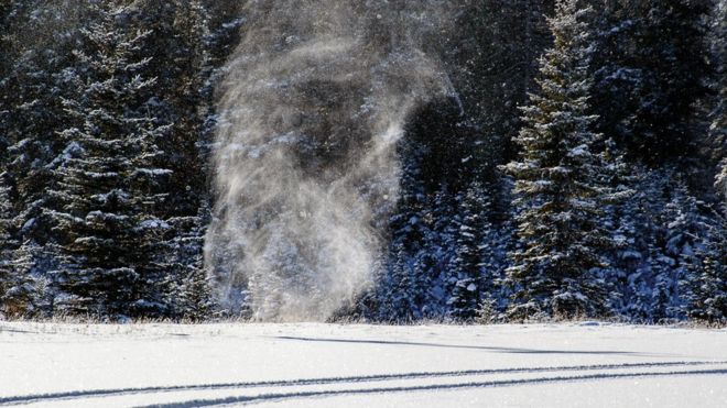 snow devils