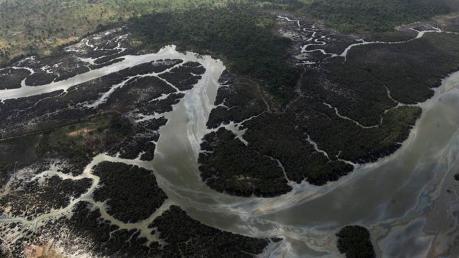 A file picture from 2013 showing creeks and vegetations devastated as a result of spills from oil thieves and Shell operational failures in Niger Delta