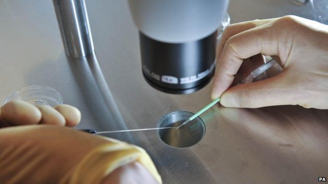 Embryos being placed onto a CryoLeaf ready for instant freezing