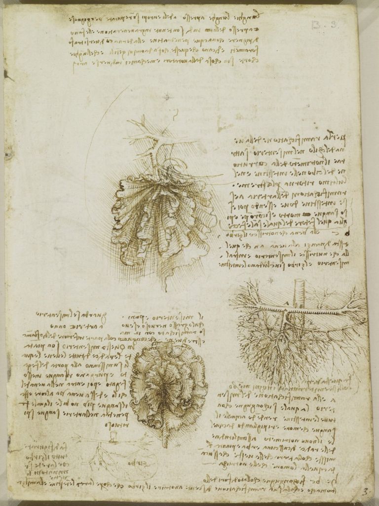 Esboço de Leonardo Da Vinci