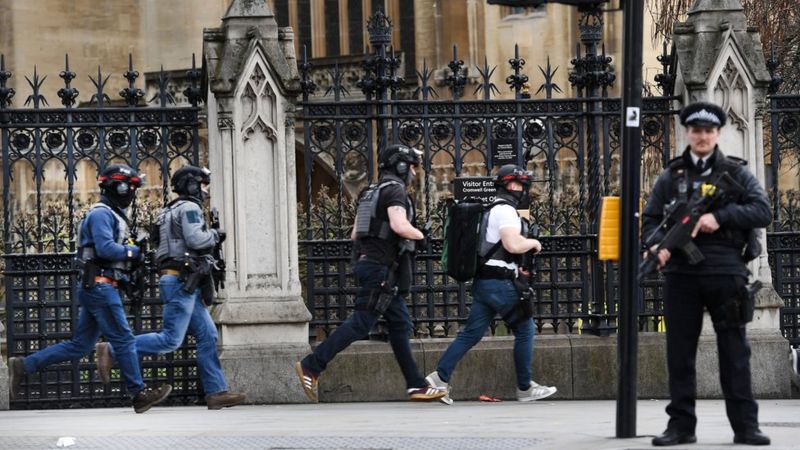 Armed police at Westminster